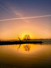 Crédit photo : Nicolas Hemberger Crédit photo : Nicolas Hemberger