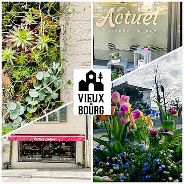 Photo montage des façades en fleurs
