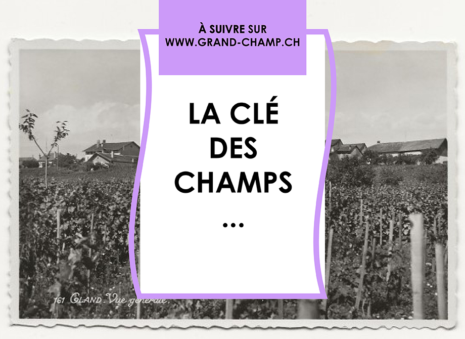 La clé des champs